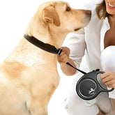 Dây Dắt Bấm Tự Động Cho Chó Flexi Classic